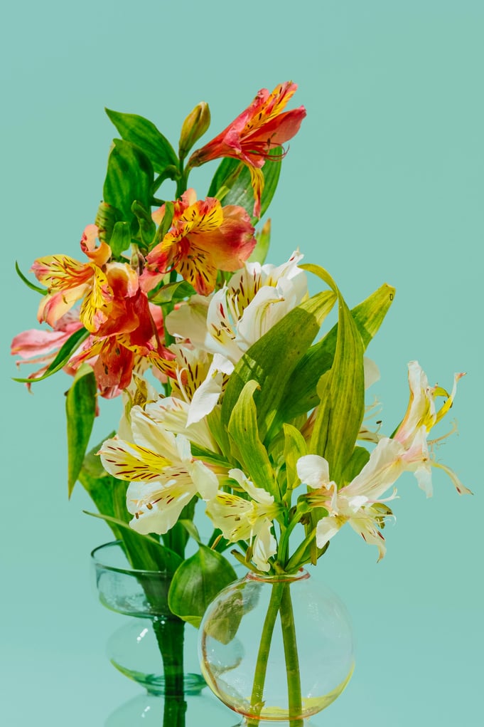 Assorted Flowers in Glass Vases